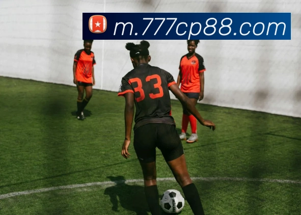 平台展示图